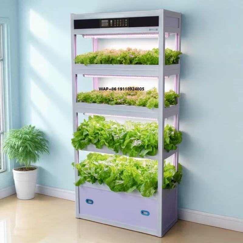 Hydroponic System - İç Mekan Akıllı Topraksız Yetiştirme Hidroponik