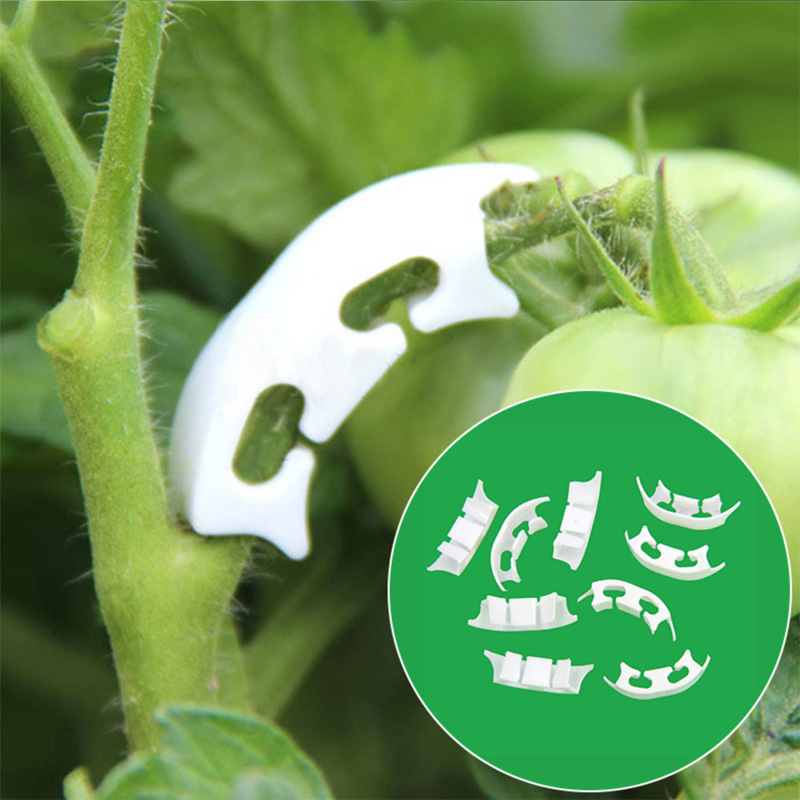 Gardening Tools Hoe - 50/100 adet Botany-kök asma çember klipleri