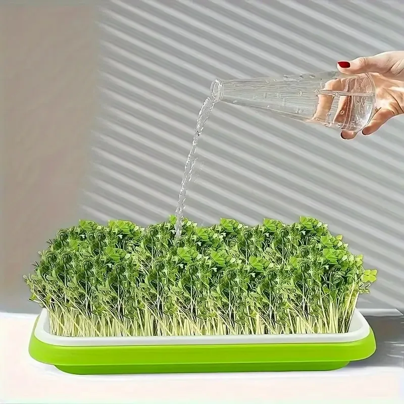 Gardening Tools Vegetables - En Yeni Modeller Fide Tepsisi Seti,