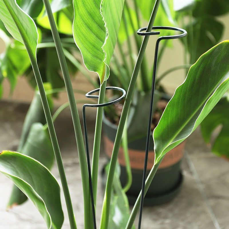 1/10 adet Bahçe Desteği Kazık  - Gardening Tools Hoe incelemesi ve fiyatı