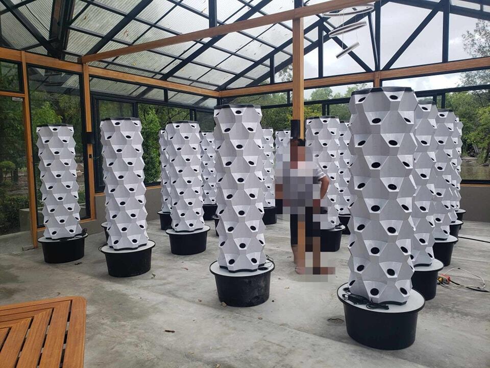 Sera Dikey Tarım Hidroponik Ye - Hydroponic System incelemesi ve fiyatı