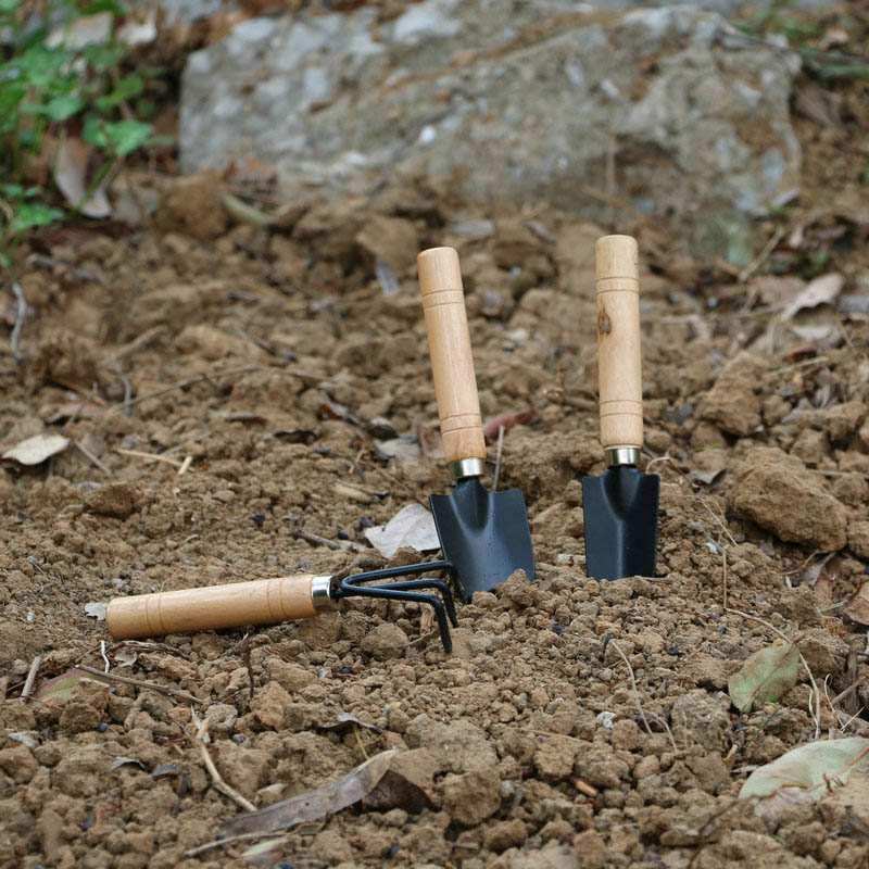 3 adet/takım Mini Bahçe Alet S - Gardening Tools Vegetables incelemesi ve fiyatı