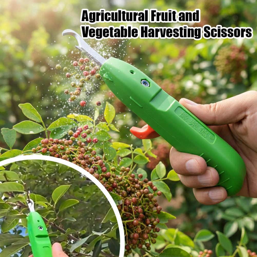 Meyve ve Sebze Toplama Makası  - Gardening Tools Vegetables incelemesi ve fiyatı