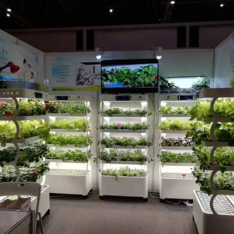 Akıllı Hidroponik Yetiştirme S - Hydroponic System incelemesi ve fiyatı