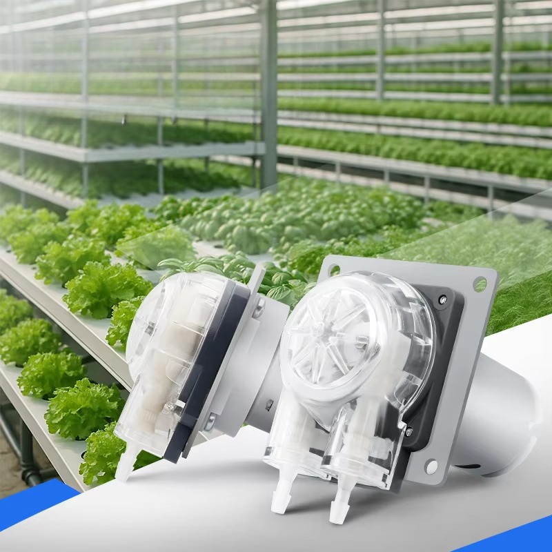 Düşük Gürültülü 12V 24V DC Mot - Hydroponic System incelemesi ve fiyatı