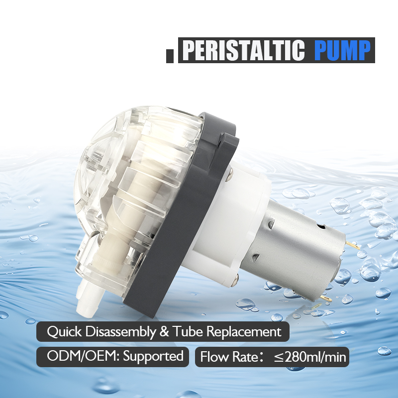Düşük Gürültülü 12V 24V DC Mot - Hydroponic System incelemesi ve fiyatı