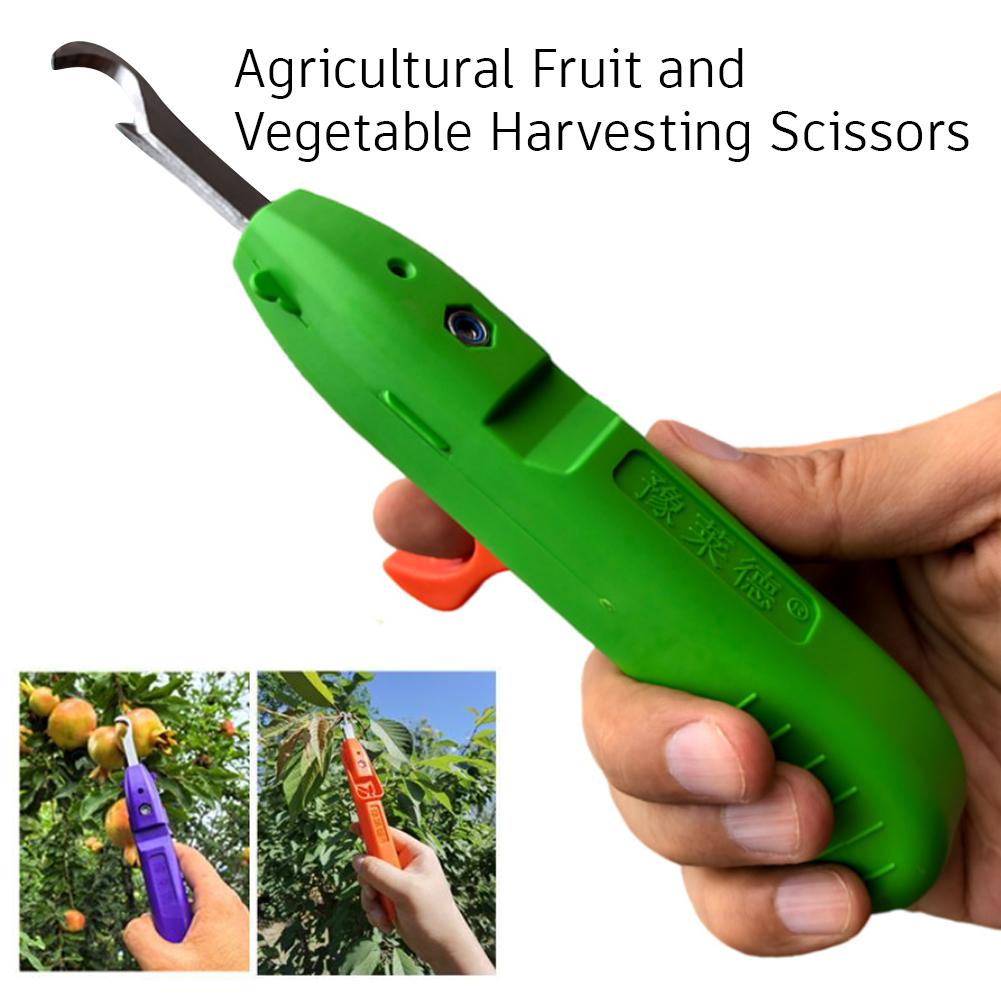 Taşınabilir Meyve Sebze Hızlı  - Gardening Tools Vegetables incelemesi ve fiyatı