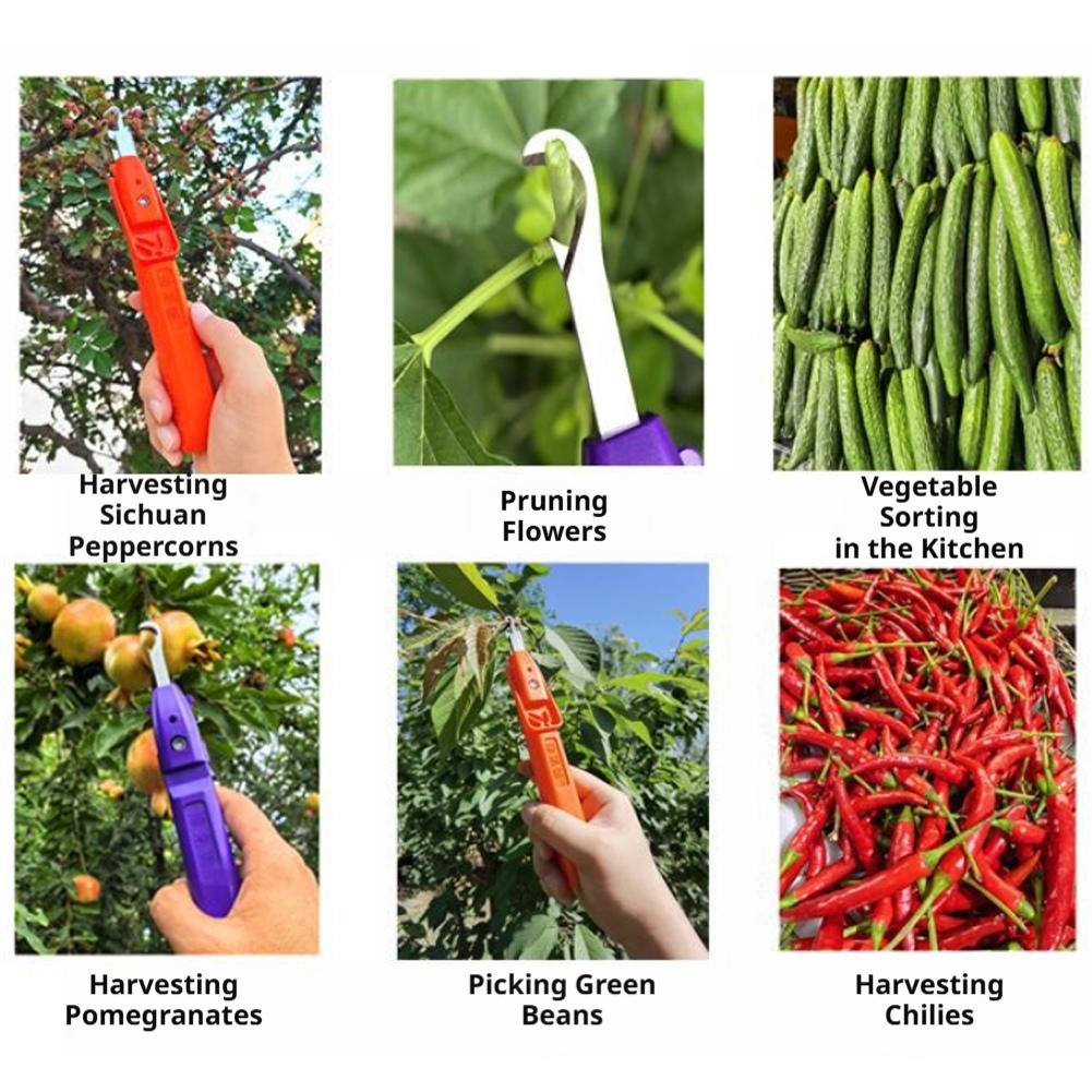Taşınabilir Meyve Sebze Hızlı  - Gardening Tools Vegetables incelemesi ve fiyatı