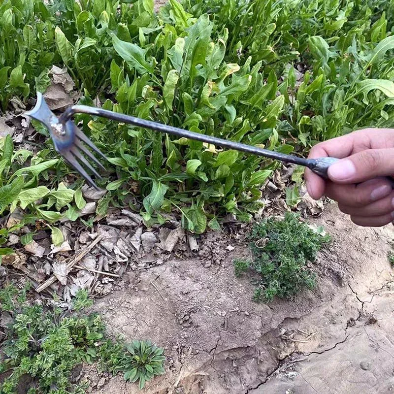 Bahçe Çapalayıcıları Çim El Ça - Weed Puller incelemesi ve fiyatı