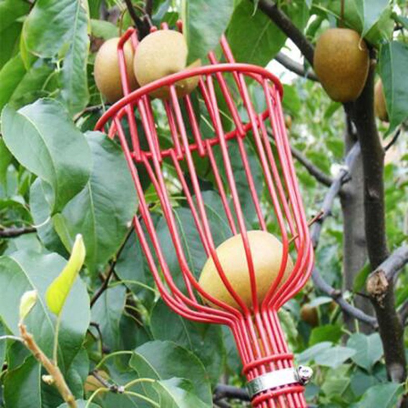 Derin Sepetli Meyve Toplama Ba - Gardening Tools Basket incelemesi ve fiyatı