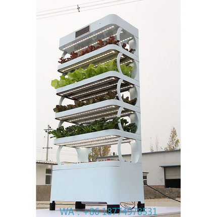 Evde Hidroponik Yetiştirme Sis - Hydroponic System incelemesi ve fiyatı
