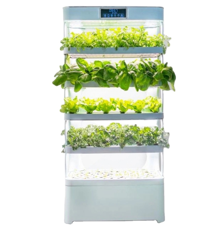 Evde Hidroponik Yetiştirme Sis - Hydroponic System incelemesi ve fiyatı