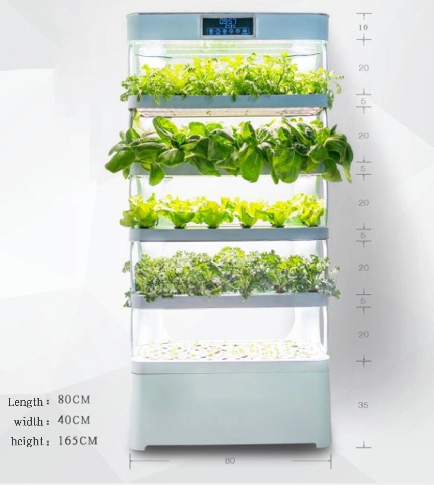 Evde Hidroponik Yetiştirme Sis - Hydroponic System incelemesi ve fiyatı