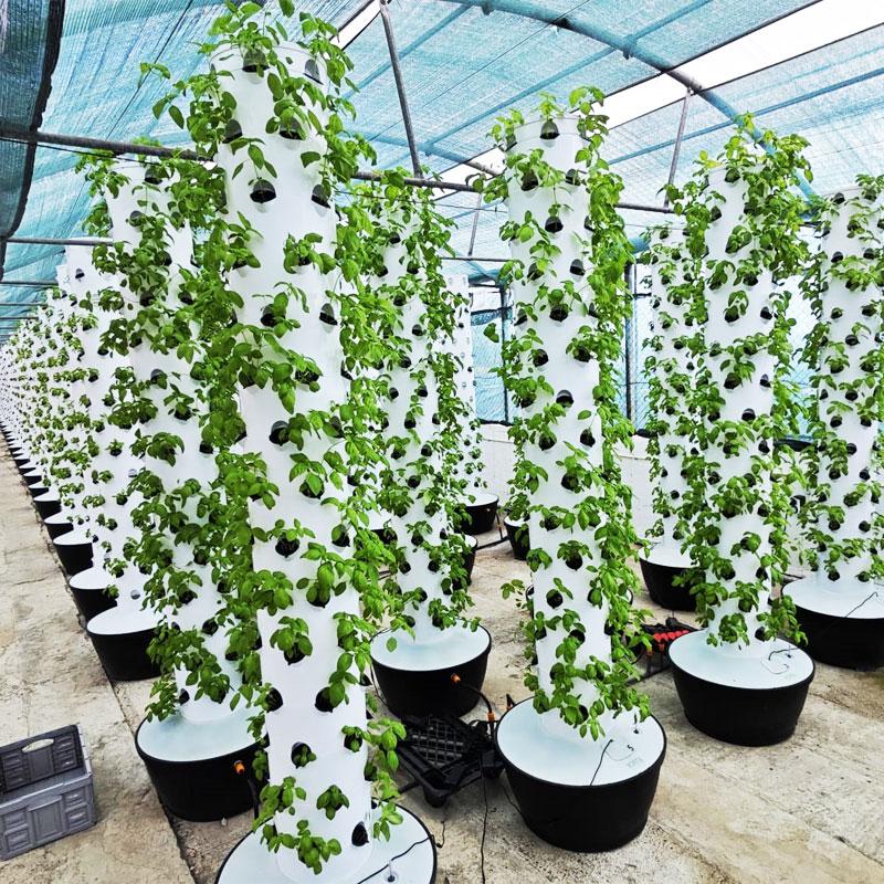Yüksek Kaliteli Kolay Kuruluml - Hydroponic System incelemesi ve fiyatı