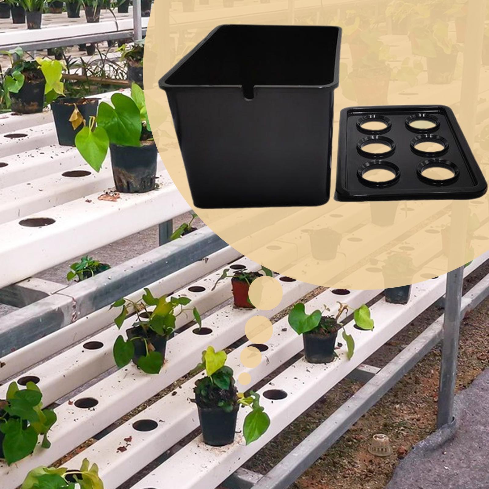 Hidroponik Yetiştirme Kiti Baş - Hydroponic System incelemesi ve fiyatı