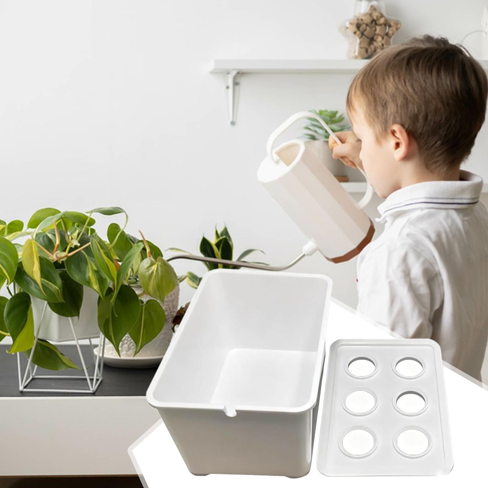 Hidroponik Yetiştirme Kiti Baş - Hydroponic System incelemesi ve fiyatı