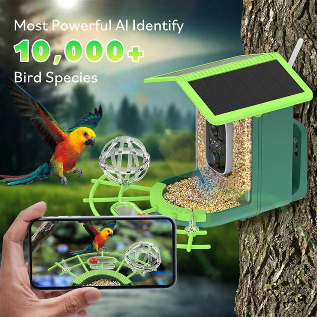 ABPP Akıllı Kuş Besleyici Kame - Gardening Tools Video incelemesi ve fiyatı