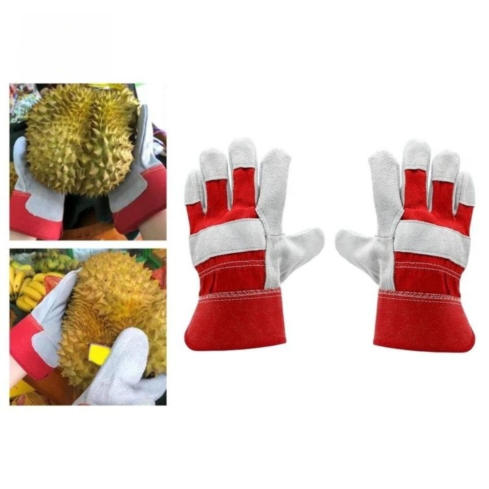 Sığır Derisi Deri Bahçe Eldive - Gardening Tools Gloves incelemesi ve fiyatı
