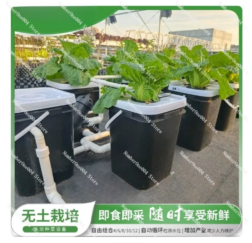 RDWC Ev Balkonu Hidroponik Yet - Hydroponic System incelemesi ve fiyatı