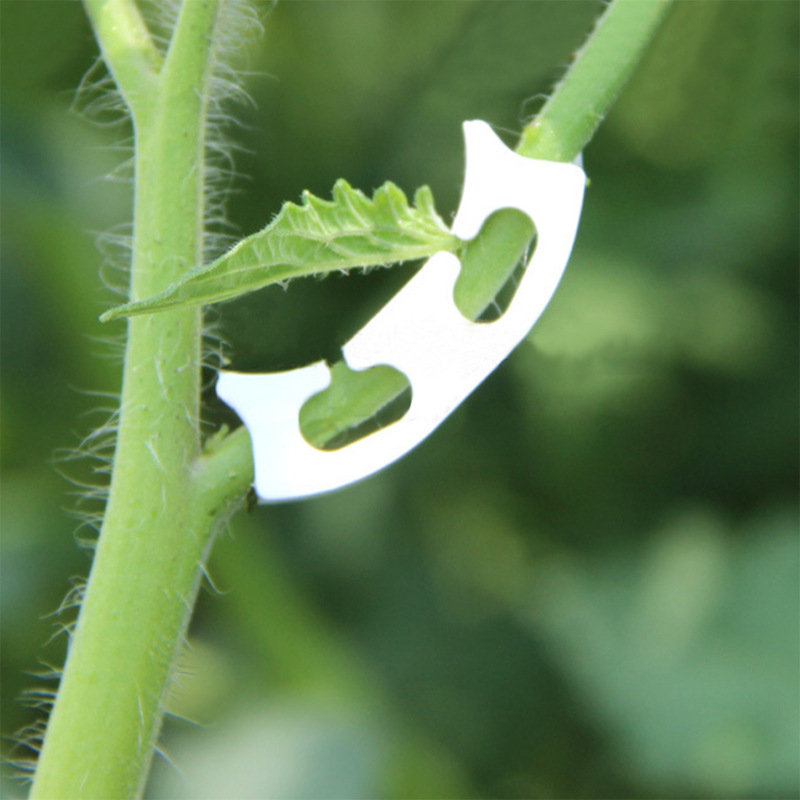 50/100 adet Botany-kök asma çe - Gardening Tools Hoe incelemesi ve fiyatı