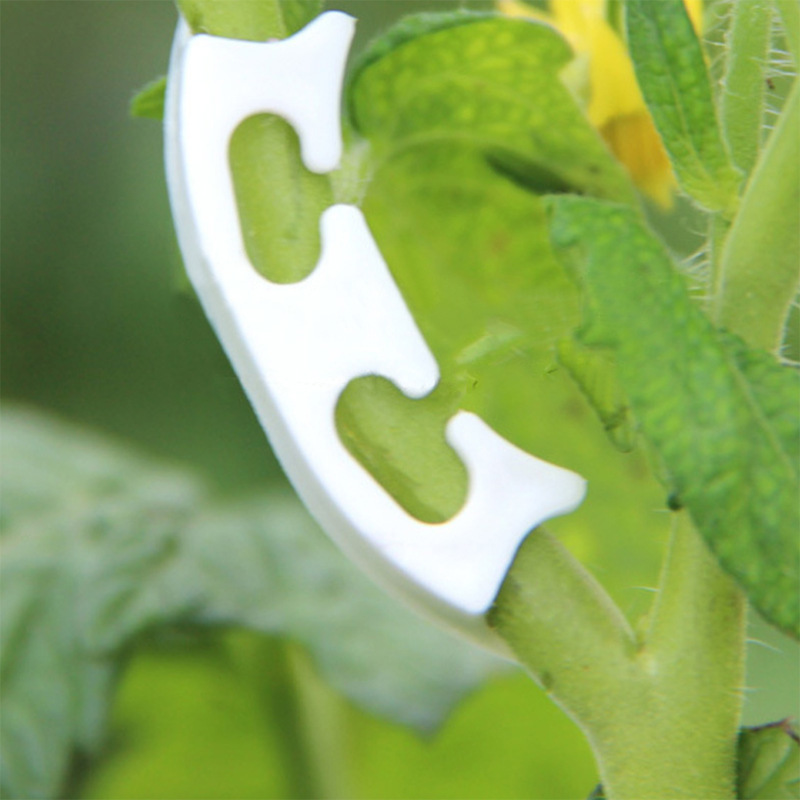 50/100 adet Botany-kök asma çe - Gardening Tools Hoe incelemesi ve fiyatı