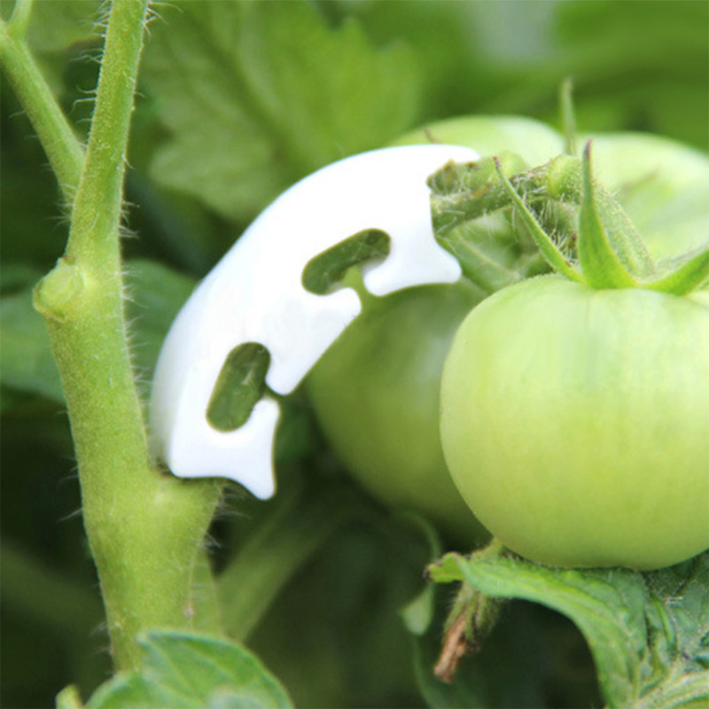 50/100 adet Botany-kök asma çe - Gardening Tools Hoe incelemesi ve fiyatı