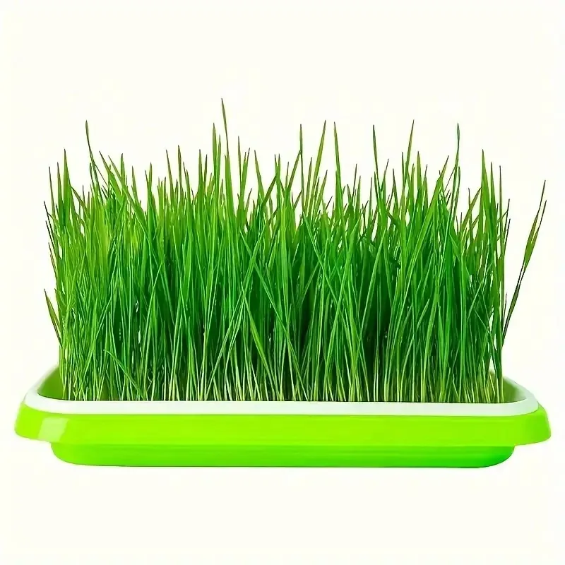 En Yeni Modeller Fide Tepsisi  - Gardening Tools Vegetables incelemesi ve fiyatı