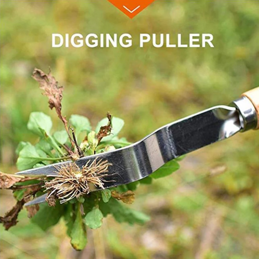 1 adet ahşap saplı paslanmaz ç - Weed Puller incelemesi ve fiyatı
