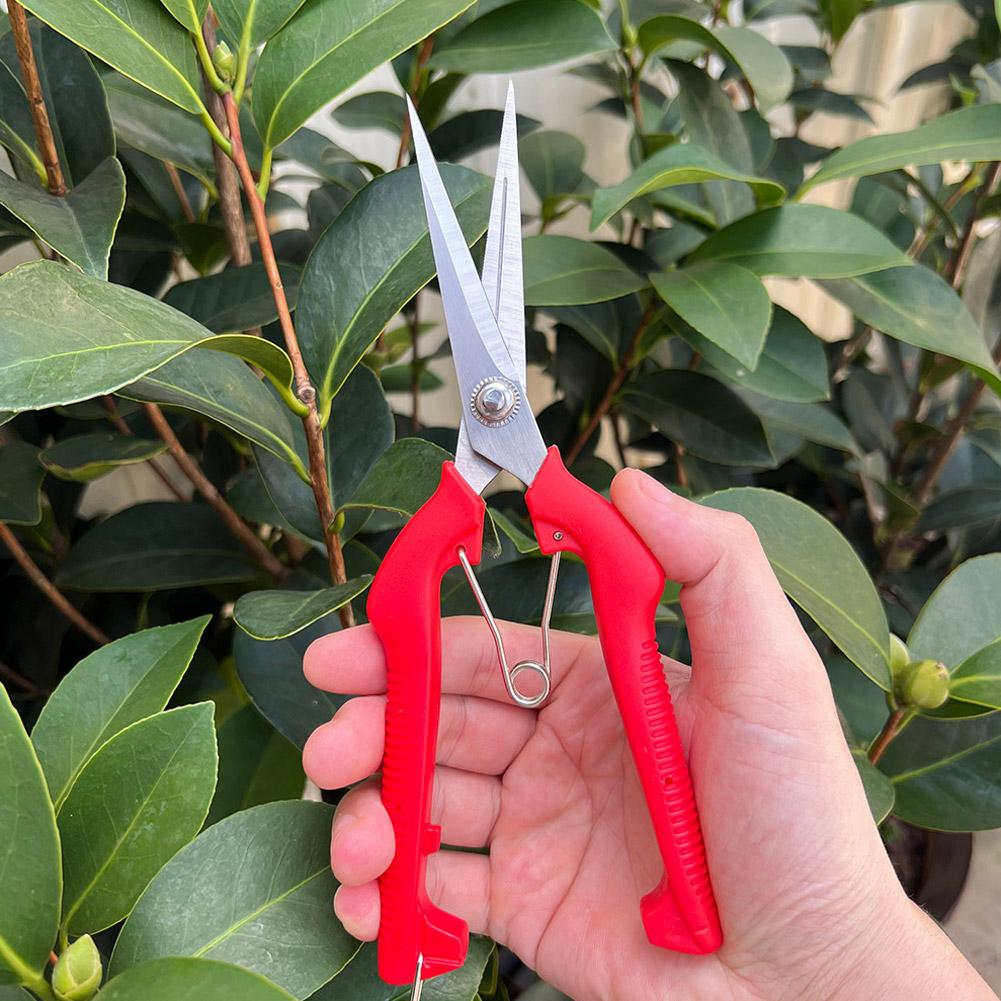Pro Garden Budama Makası Uzatı - Gardening Tools Vegetables incelemesi ve fiyatı