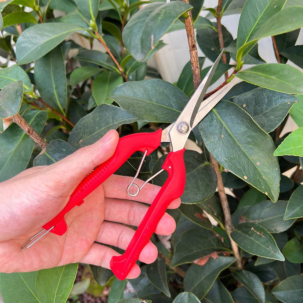 Pro Garden Budama Makası Uzatı - Gardening Tools Vegetables incelemesi ve fiyatı
