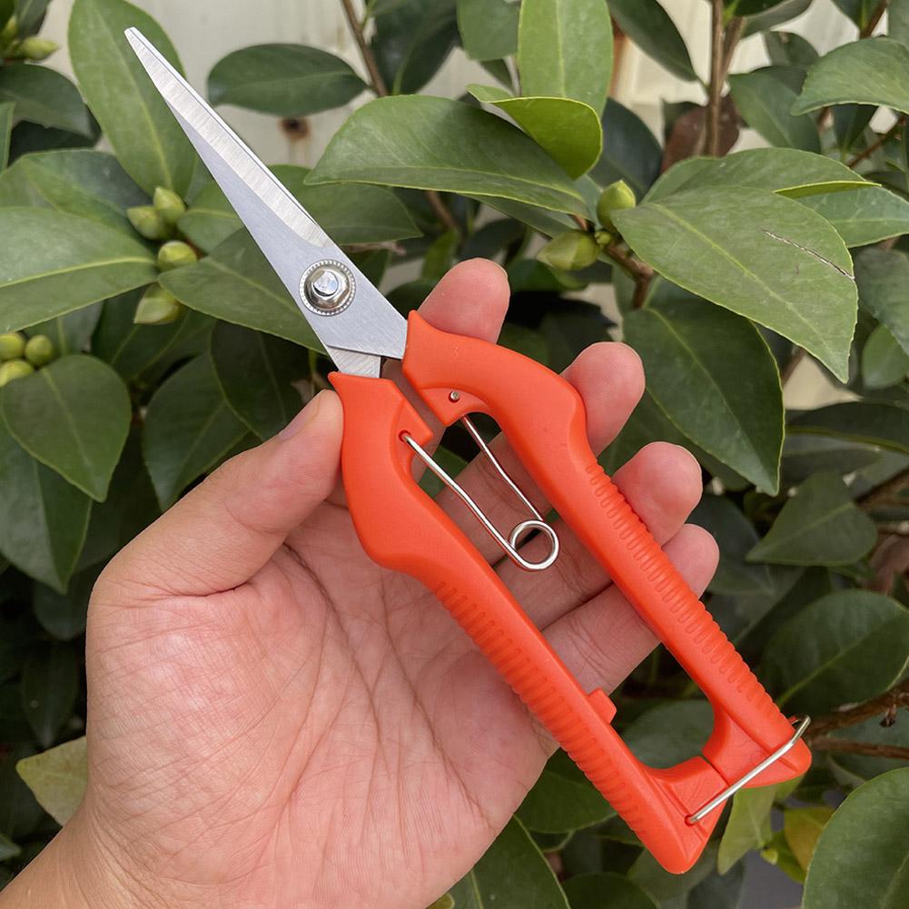 Pro Garden Budama Makası Uzatı - Gardening Tools Vegetables incelemesi ve fiyatı