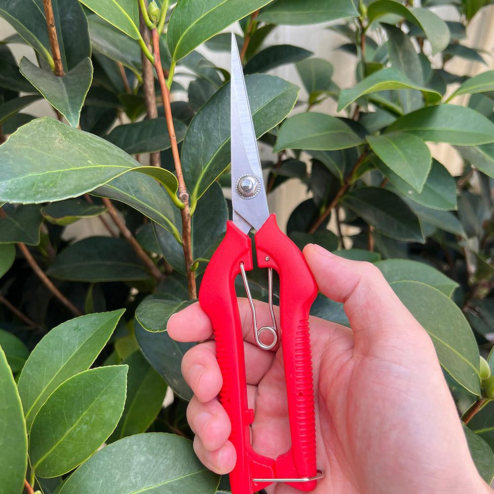 Pro Garden Budama Makası Uzatı - Gardening Tools Vegetables incelemesi ve fiyatı