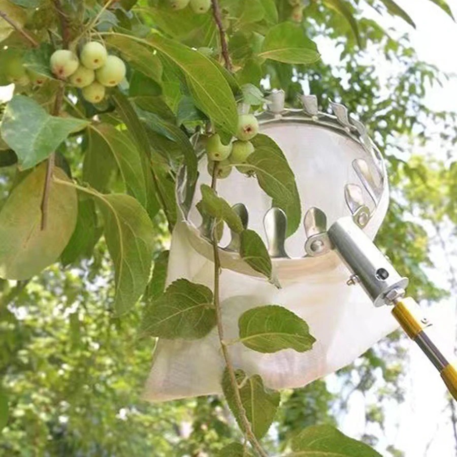 Profesyonel meyve toplama alet - Gardening Tools Basket incelemesi ve fiyatı