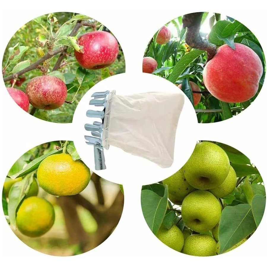 Profesyonel meyve toplama alet - Gardening Tools Basket incelemesi ve fiyatı