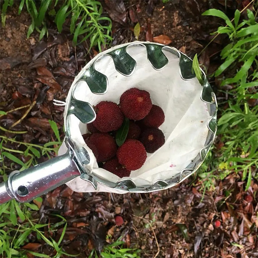 Profesyonel meyve toplama alet - Gardening Tools Basket incelemesi ve fiyatı