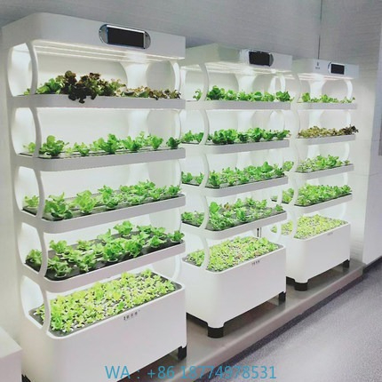 Hidroponik Otomatik Yetiştirme - Hydroponic System incelemesi ve fiyatı