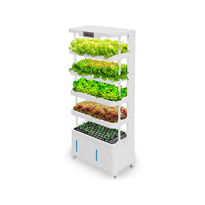 Yüksek Teknolojili Akıllı Hidr - Hydroponic System incelemesi ve fiyatı