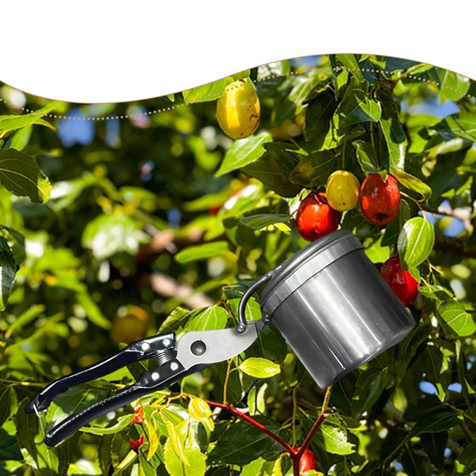 Meyve Toplayıcı, Kullanımı Kol - Gardening Tools Vegetables incelemesi ve fiyatı