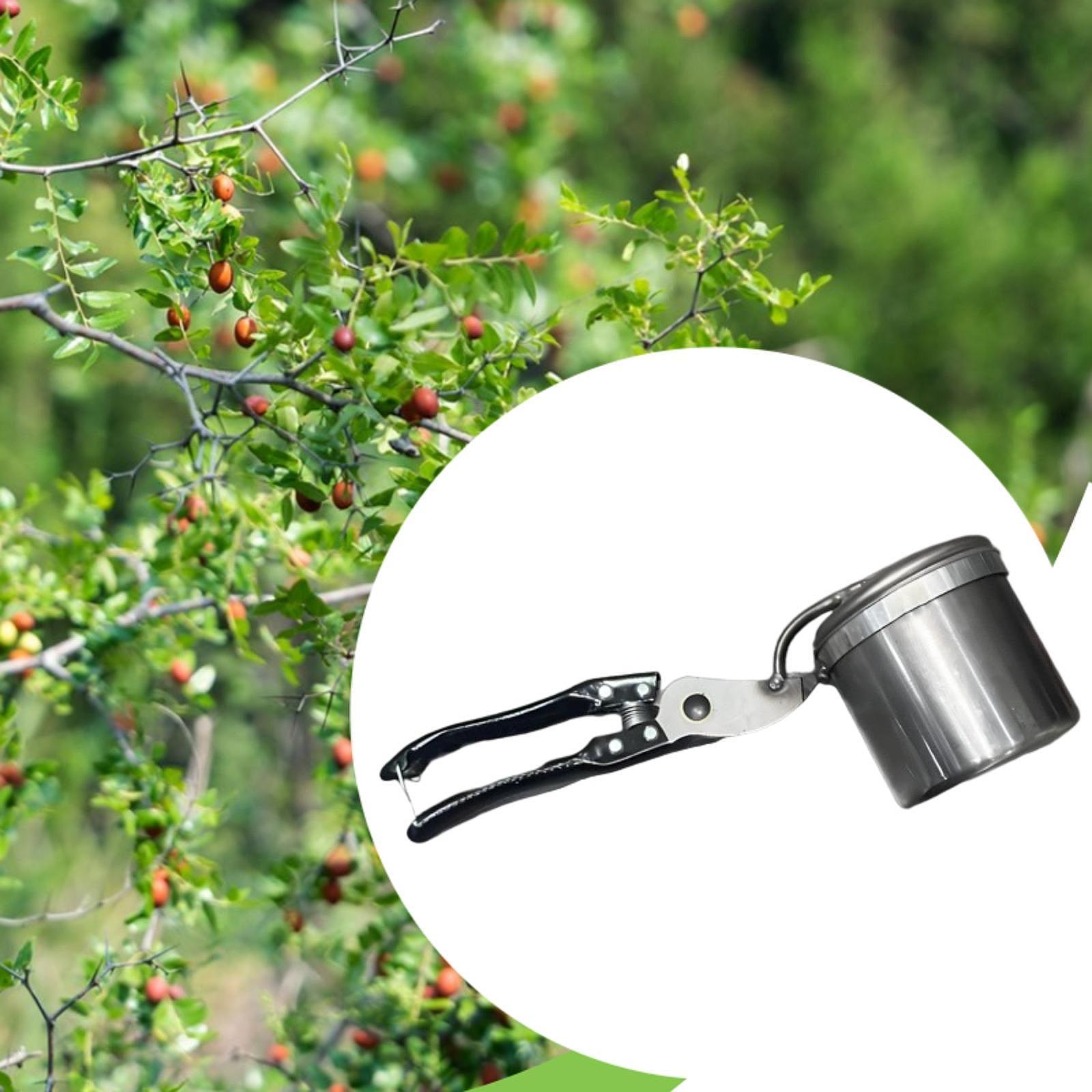 Meyve Toplayıcı, Kullanımı Kol - Gardening Tools Vegetables incelemesi ve fiyatı