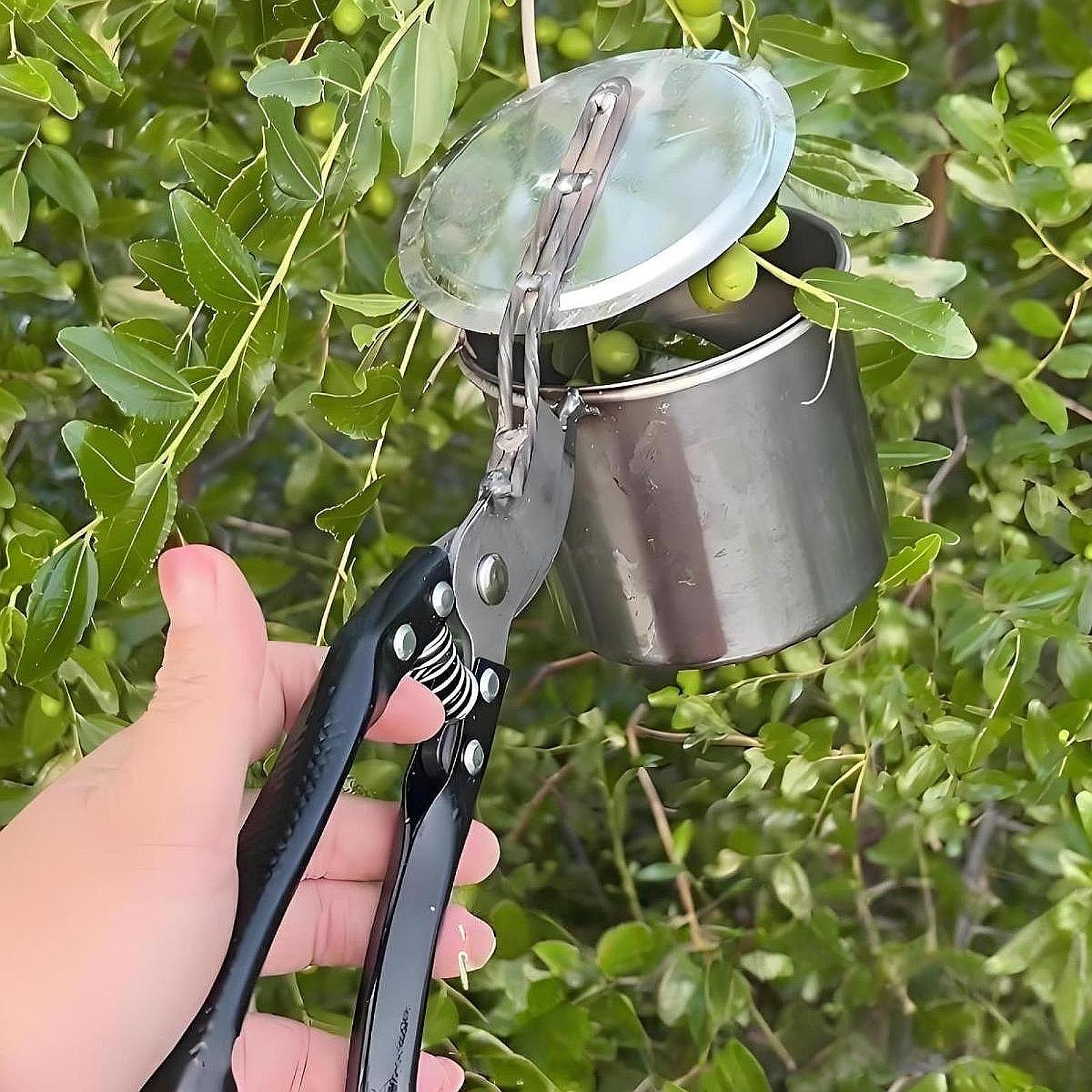 Meyve Toplayıcı, Kullanımı Kol - Gardening Tools Vegetables incelemesi ve fiyatı